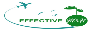 EFFECTIVE M&N Ltd